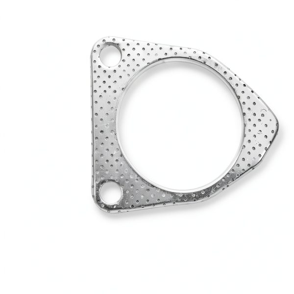 Exhaust Gasket Connector YGQ Graphite Metal-3